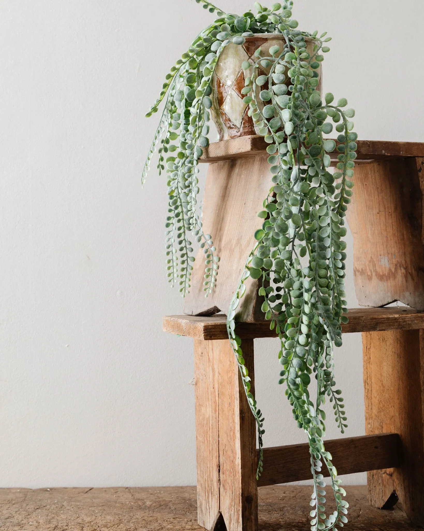 Faux Trailing Plant (2 Styles)