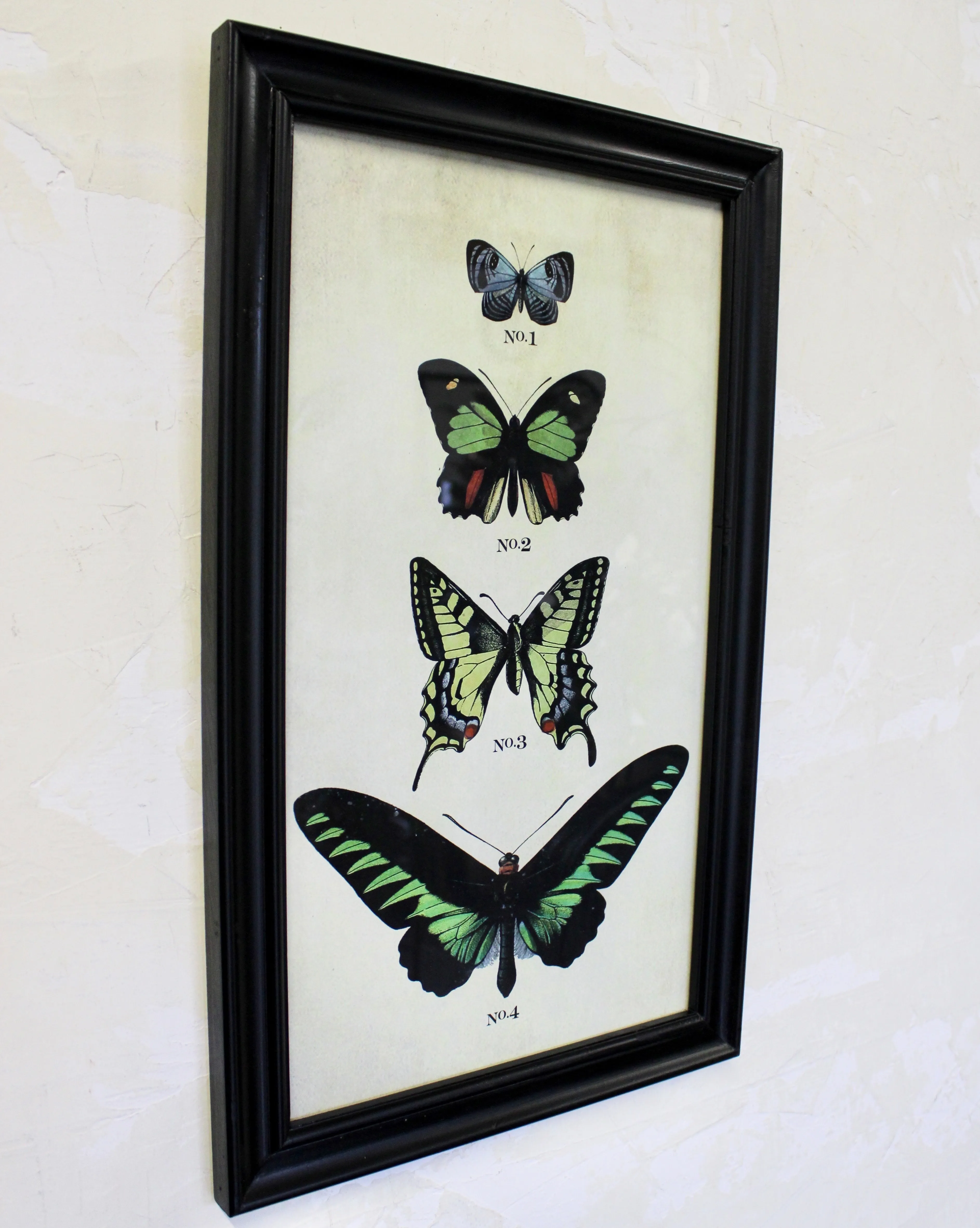 Framed Butterfly Print