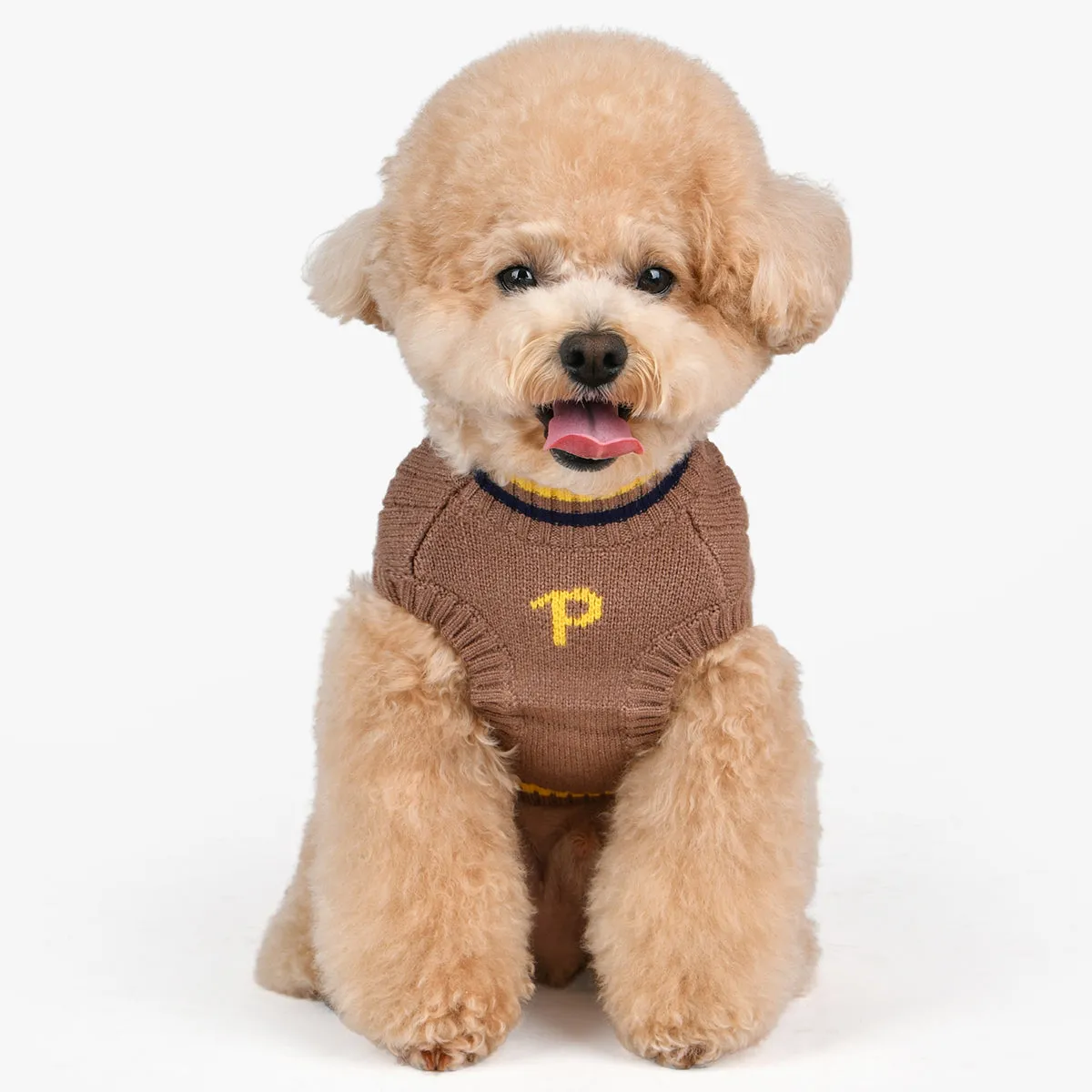 Joise Dog Sweater