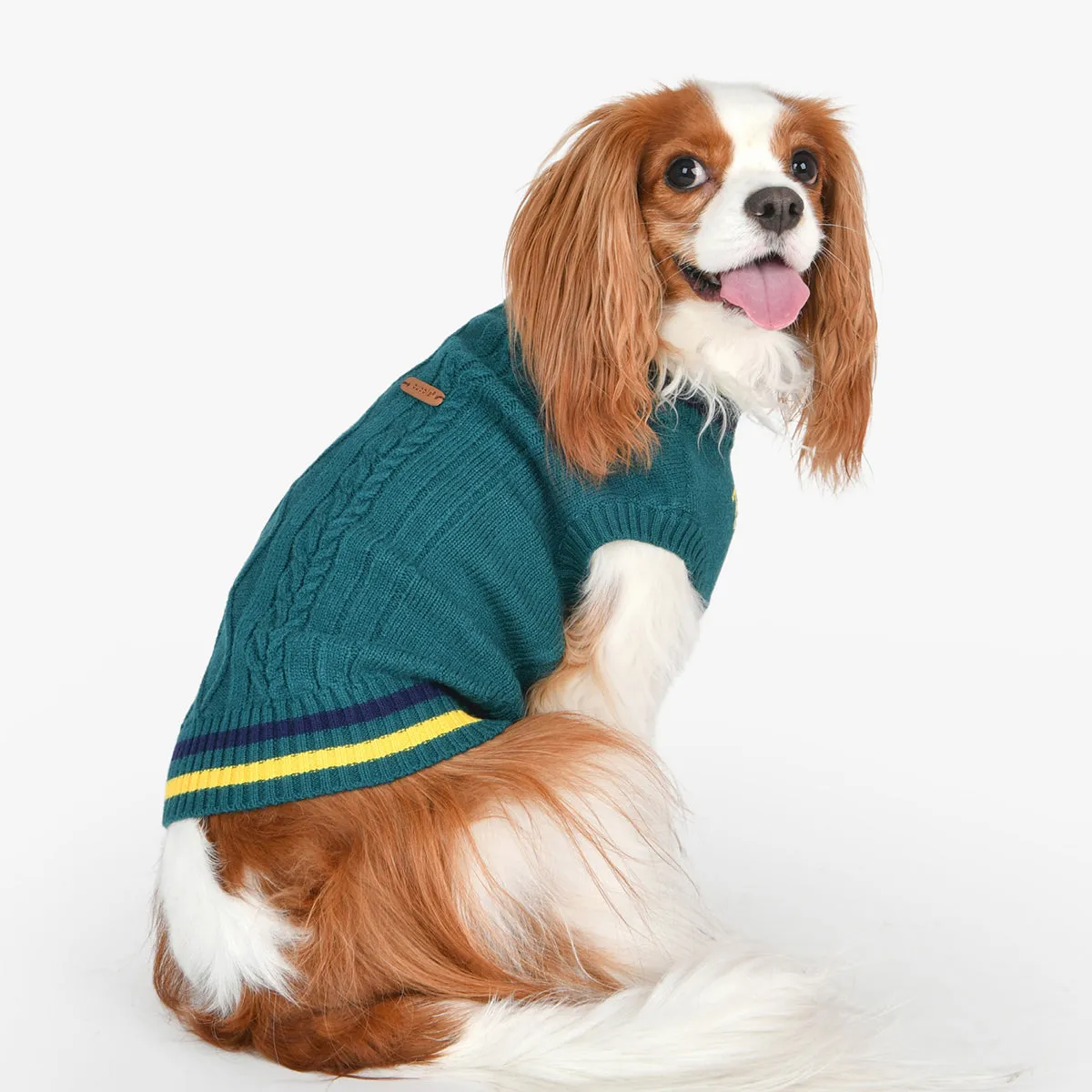 Joise Dog Sweater