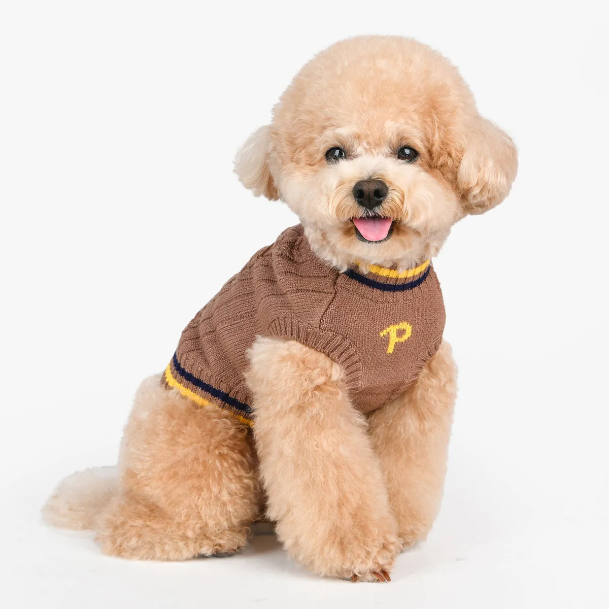 Joise Dog Sweater