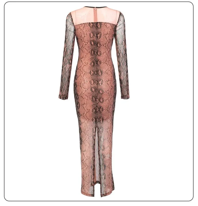 Pre Order:  Trendy Mesh Bodycon Party Dress